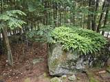 637 Marmot Lane - Photo 24