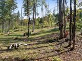 219 Weber Brook Lane - Photo 1