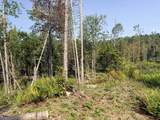 219 Weber Brook Lane - Photo 7