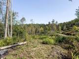 219 Weber Brook Lane - Photo 8