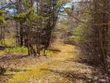 TM 407 L 35 Shem Valley Road - Photo 10