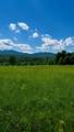 237 Loop Road - Photo 11