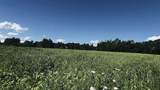 237 Loop Road - Photo 31