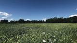 237 Loop Road - Photo 32