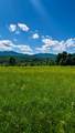 237 Loop Road - Photo 6