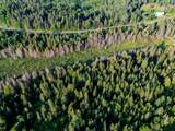 00 Watson Road - Photo 46