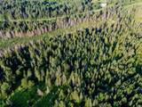 00 Watson Road - Photo 48