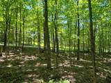 625 French Settlement Road - Photo 13