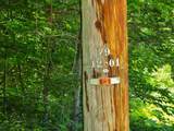 625 French Settlement Road - Photo 21