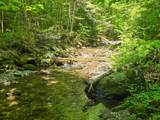 625 French Settlement Road - Photo 5