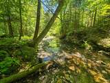 625 French Settlement Road - Photo 6