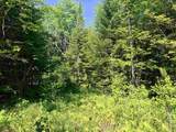 00 Tug Mountain Road - Photo 4