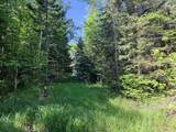 00 Tug Mountain Road - Photo 5