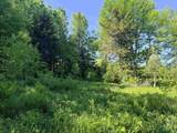 00 Tug Mountain Road - Photo 8