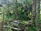 00 Tug Mountain Road - Photo 9