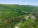  Us Route 302 - Photo 10