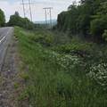  Us Route 302 - Photo 4