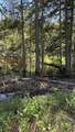 0 Oregon Road - Photo 6