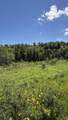 0 Oregon Road - Photo 7