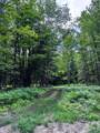 273 Guyette Road - Photo 4