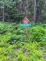 273 Guyette Road - Photo 8
