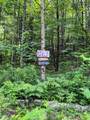 273 Guyette Road - Photo 9