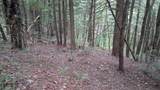Lot 15 +37 acre Spruce Lane - Photo 2