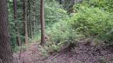 Lot 15 +37 acre Spruce Lane - Photo 5