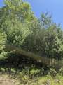 Lot 33, 34, 35 Washington Street - Photo 6