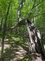 0 Iver Johnson Way - Photo 4