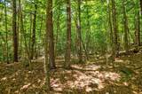 Lot 12-2 Needle Eye Road - Photo 20