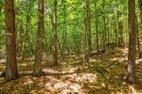 Lot 12-2 Needle Eye Road - Photo 21