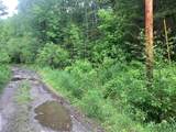 TBD Griffin Road - Photo 5