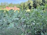 498 Town Line Road - Photo 49