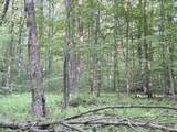 498 Town Line Road - Photo 50