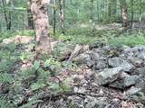 498 Town Line Road - Photo 51