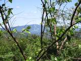 16 c Winterberry Heights - Photo 19