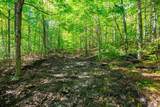 00 Granite Ledge - Photo 4