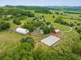 1233 Satterly Road - Photo 52