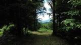 157 Bear Creek Lane - Photo 16