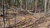 1376 Kingdom Road - Photo 19