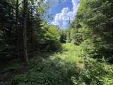 208 Drake Place Road - Photo 38