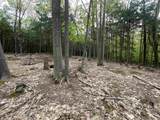 Map 212, Lot 49 Durrell Mountain Road - Photo 4