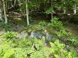 175 Sunset Rock Road - Photo 12