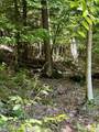 175 Sunset Rock Road - Photo 22