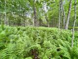 00 Old Farm Road - Photo 12