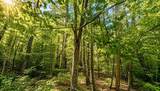 Lot 260-15 2nd Nh Turnpike - Photo 10