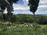 816 Black Bear Road - Photo 3