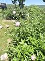816 Black Bear Road - Photo 52
