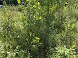 990 Bergeron Road - Photo 16